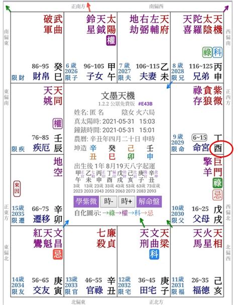 紫微12宮|紫微斗數盤怎麼看？12宮位星曜排列完整教學 